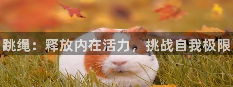 注册利记官方正版app:跳绳:释放内在活力,挑战自我极限