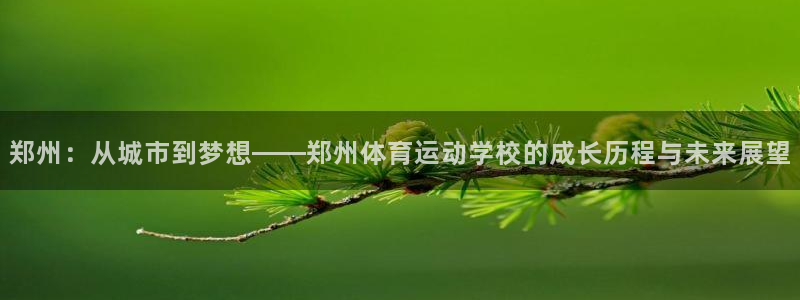 利记官方正版app神州:郑州:从城市到梦想——郑州体育运动学