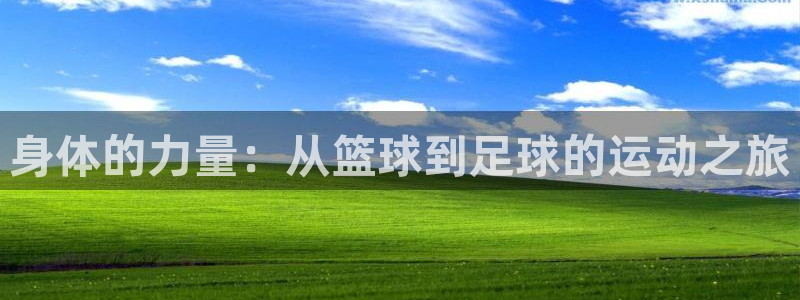 利记官方正版app集团简介:身体的力量:从篮球到足球的运动之